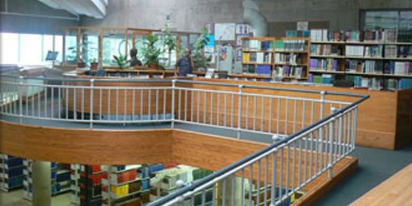 Wits Library 600x300